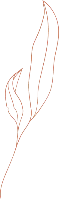 leaf@2x.png